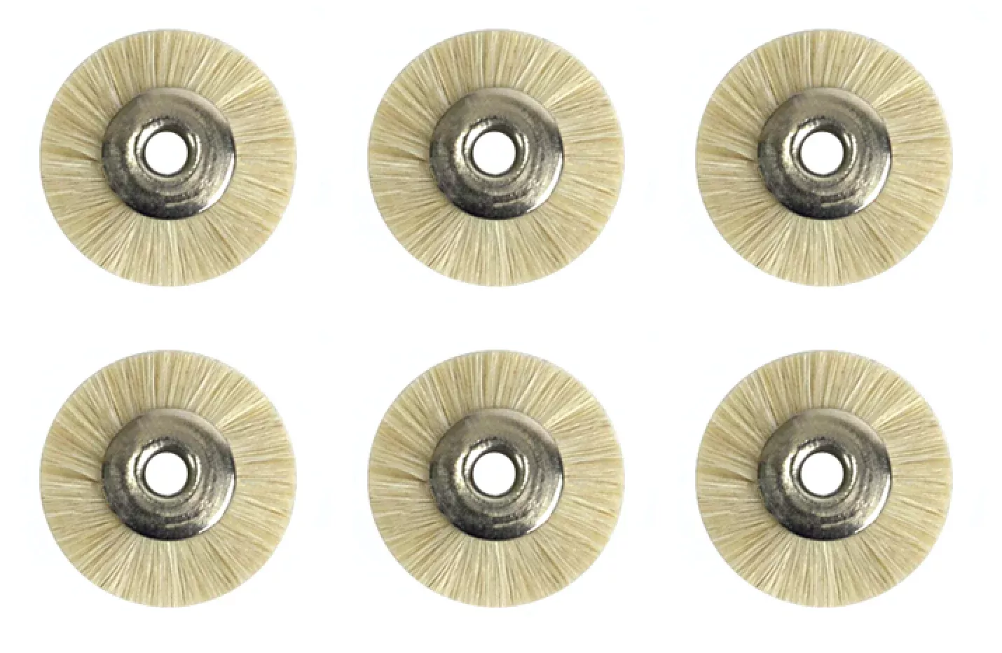 (6pc) Unmounted Hair Brush White 3/32" & 3/4" Wheel
