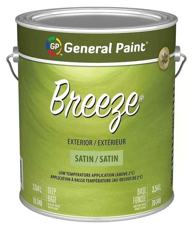 70349-16 PAINT EX SAT DP/BS G