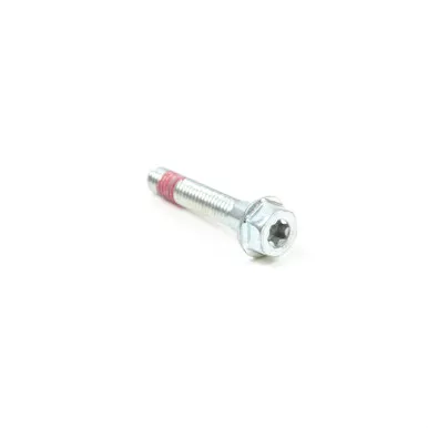 BS-699484 - 699484 SCREW (BS-699484)